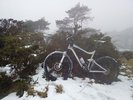 IMG 20260125 101254106