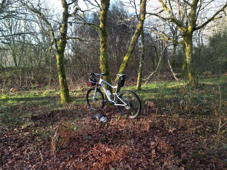 dji fly 20260222 092930 560 1771749077420 photo