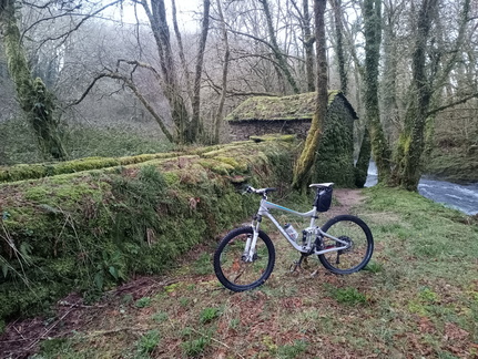 IMG 20260222 085516 1