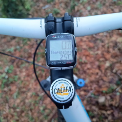 20260222-forcarey-dosiglesias-loureiro