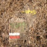 tres-caminos-1.thumbnail