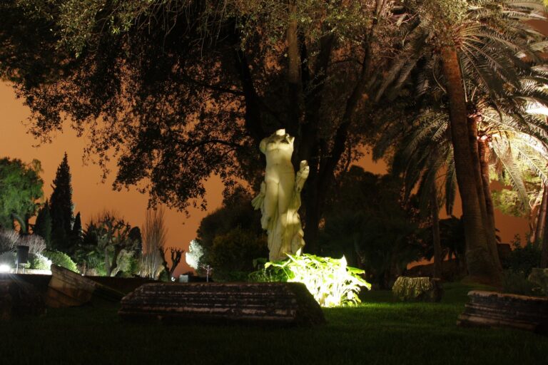 venus-italica-noche-peq