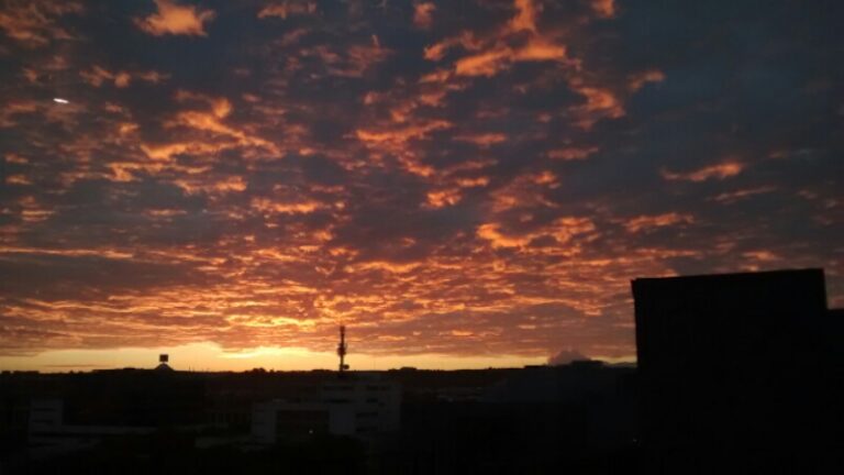 wpid-img_20141124_181142001