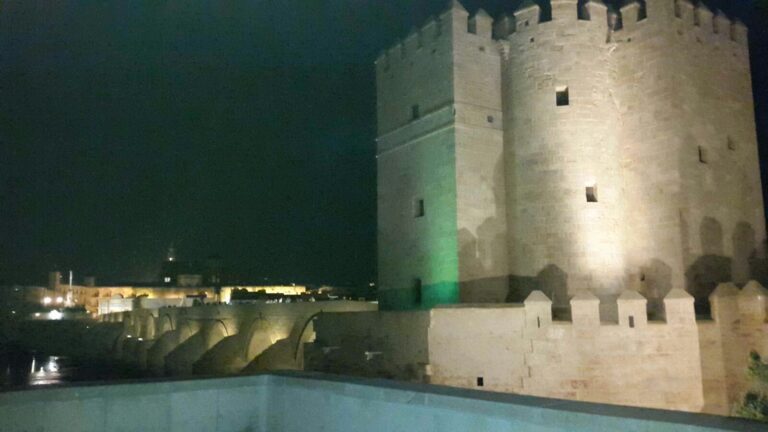 wpid-wp-1445542862518